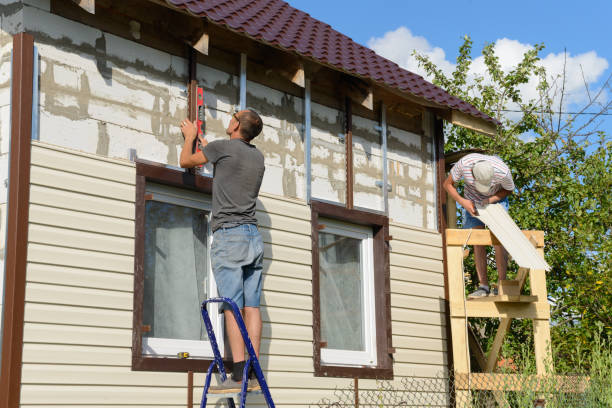 Affordable Siding Repair and Maintenance Services in Bridgeport, MI