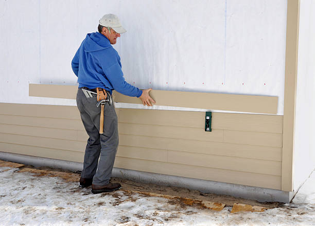 Best Insulated Siding Installation  in Bridgeport, MI